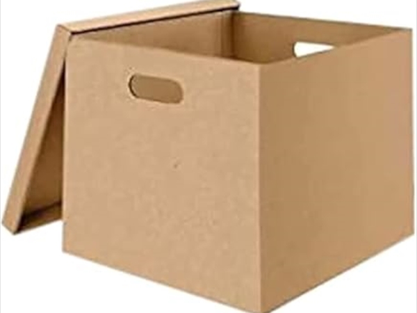 الصندوق المغلق... وحكاية الأصنام الجديدة