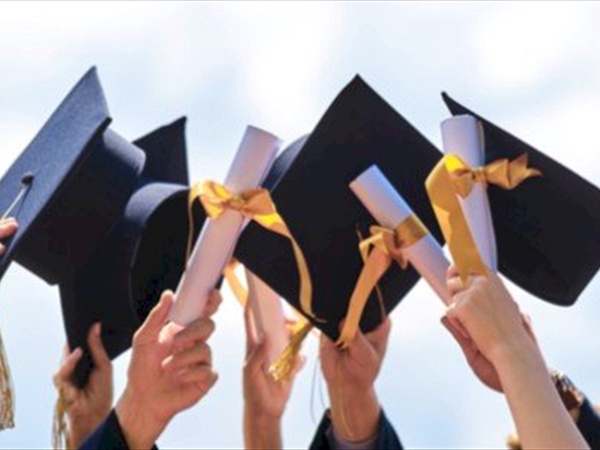 شهادات بلا إبداعية!