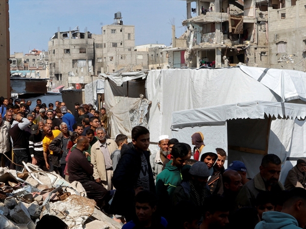 حكم الجهلة!