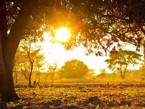 ساعات حارّة... وهل تعود الأمطار؟