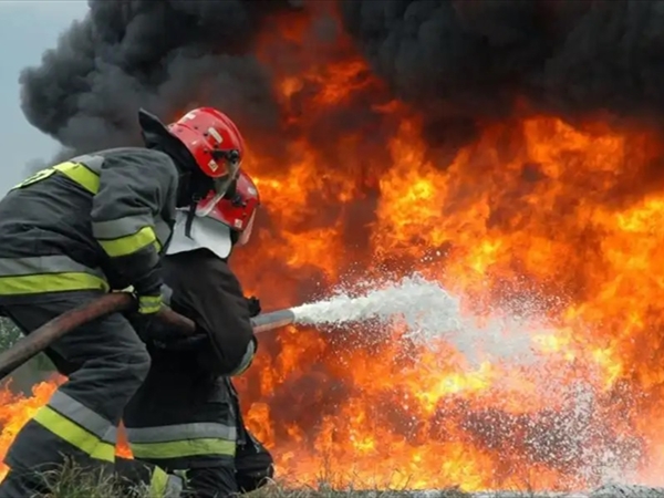 المواطن.. والواجب