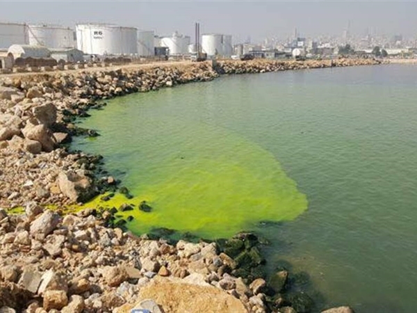 بعد التلوُّث النفطي في منطقة الجيّة... وزارة البيئة تتحرّك