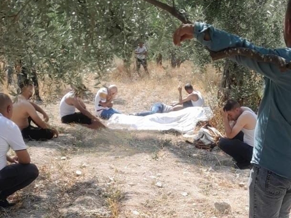 جثّة معلّقة على غصن شجرة في عكار!