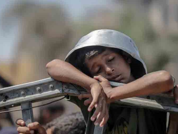 ترامب يريد الموت لحماس.. والحركة تستغرب موقف ويتكوف