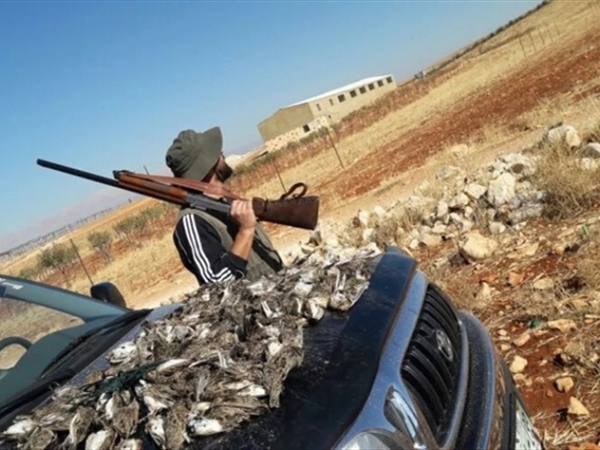 الصيد الجائر يزعزع موقع لبنان كممرّ رئيسي لهجرة الطيور.. الخطيب يكشف لـ«اللواء» مكامن الخلل وخارطة الحل!