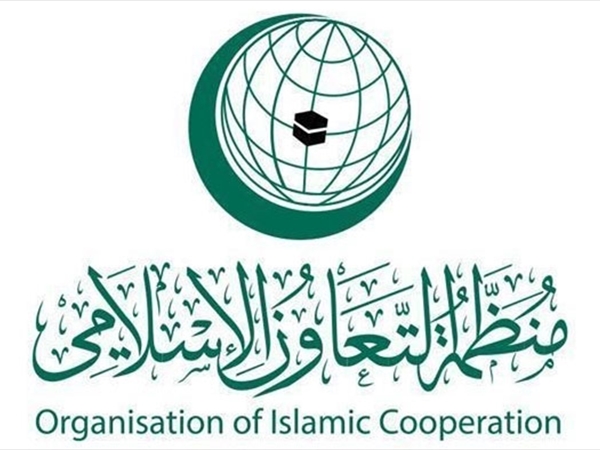 تقرير التعاون الإسلامي عن جرائم الاحتلال ضد الفلسطينيين: الإجرام يتزايد وأكثر من 4 آلاف شهيد وجريح فلسطيني في أسبوع