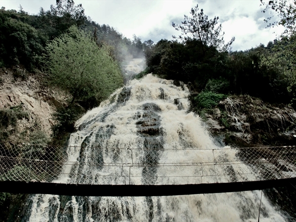 نهر البارد ثروة دافئة في دولة باردة