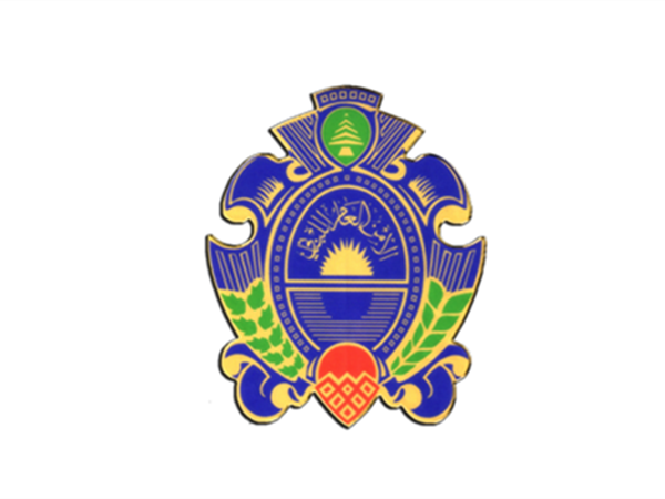 قرارٌ من الأمن العام للمغتربين... هذا ما جاء فيه