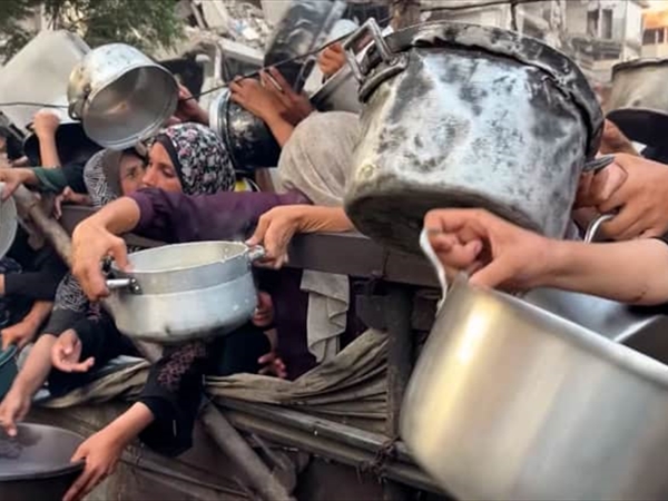 تقارير أممية عن ظروف كارثية للأمن الغذائي: أهل غزة إما الموت جوعاً أو التعرّض للقتل أثناء البحث عن الطعام