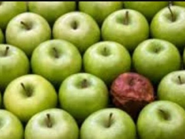 تفاحة فاسدة!