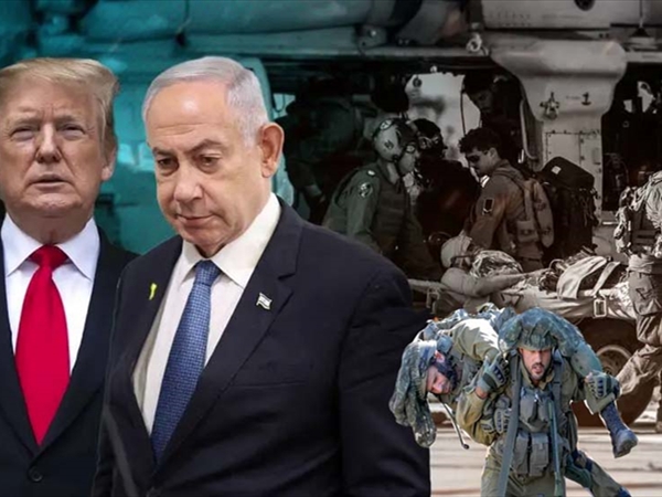 تأملات عاقلة في أجواء مولوِلة