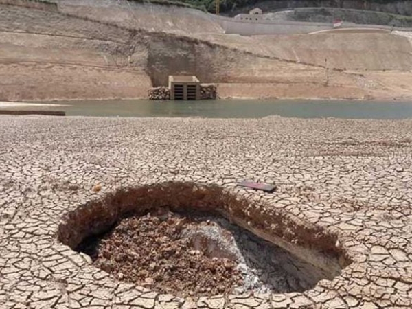 سدود باسيل!