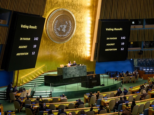 عددها 22.. من هي الدول التي رفضت أو امتنعت عن التصويت لـ"حل الدولتين"؟