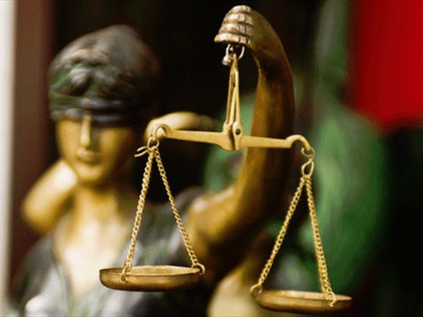 السياسة وتطبيق القوانين