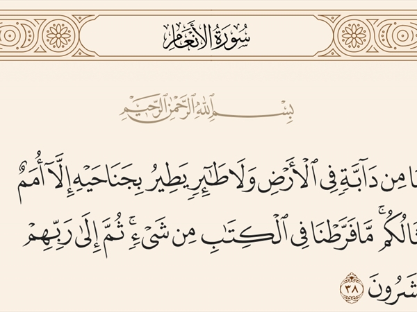 الرحمة بالحيوان: معيار الإيمان وأساس الإنسانية