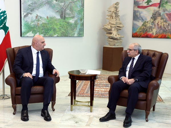 مصادر وزارية ل"موقع اللواء" : التماسك الحكومي أولوية