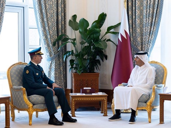هيكل في قطر وتعهُّد من الدوحة بدعم الجيش