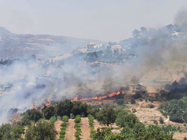 مرج بسري يحترق.. وأبو زيد يناشد الدفاع المدني والجيش للتدخل