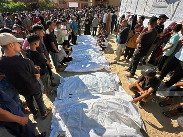 مفاوضات شرم الشيخ: الحية مقابل الوفد الإسرائيلي للتفاوض على تطبيق خطة ترامب