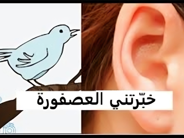 خبّرتني العصفورة!