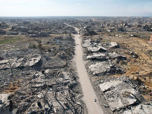 الفول والمكيول في حرب غزّة!