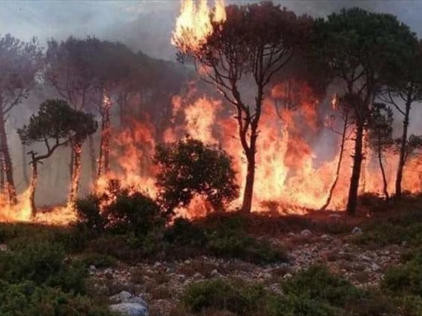 الحرائق في لبنان: خسائر بالجملة... إهمال رسمي وحلول غائبة...