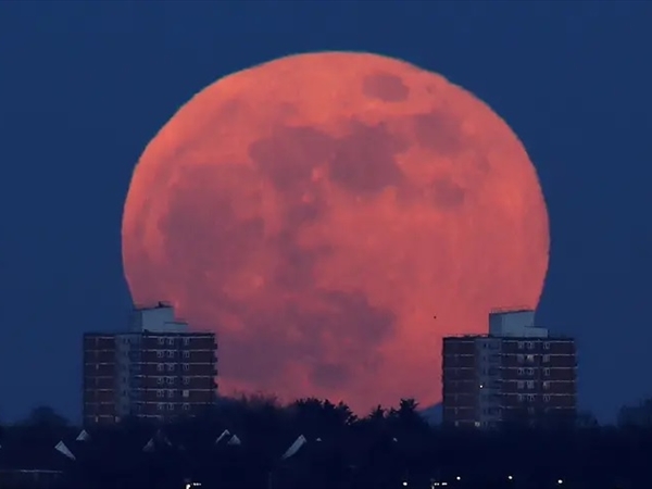 القمر العملاق يزيِّن السماء خلال أيام