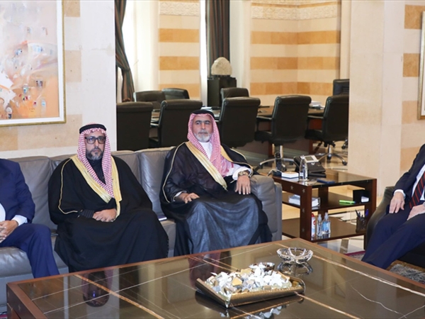 رئيس الحكومة التقى تيمور جنبلاط و«تجمع العشائر العربية»