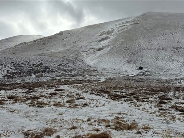 الطقس قليل الغيوم مع ارتفاع بسيط بدرجات الحرارة والثلوج تتساقط على الجبال في الشمال وعكار