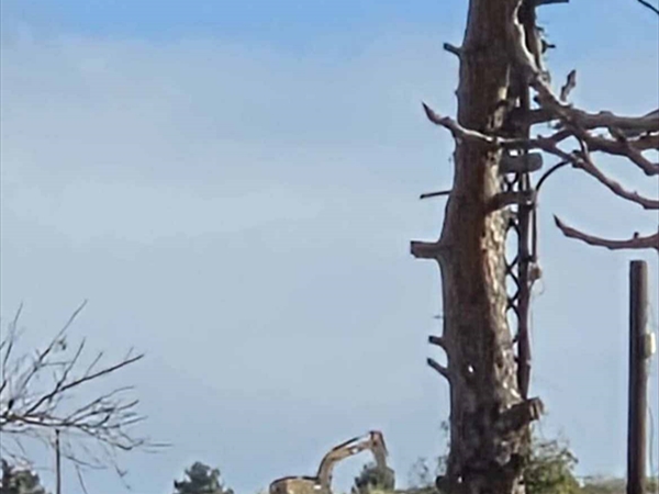 العدو الإسرائيلي يواصل عدوانه على لبنان ويهدِّد بالعودة إلى الحرب