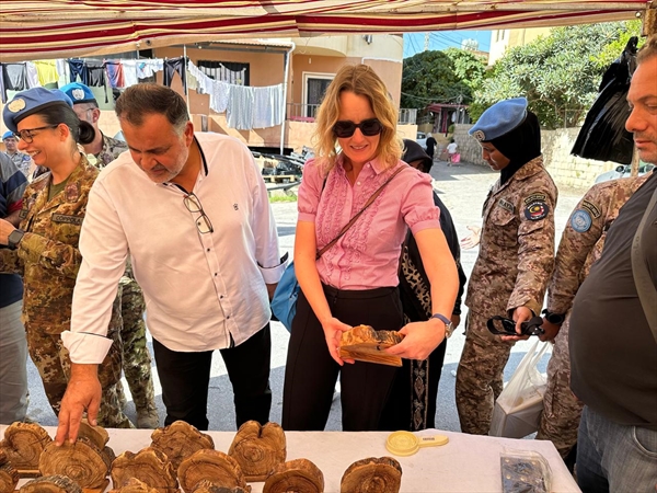 العدو الإسرائيلي يعرض أراض للبيع في جنوب لبنان وينشر خريطتها!!