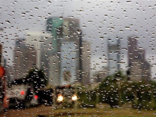 «هجنة» الشتاء!