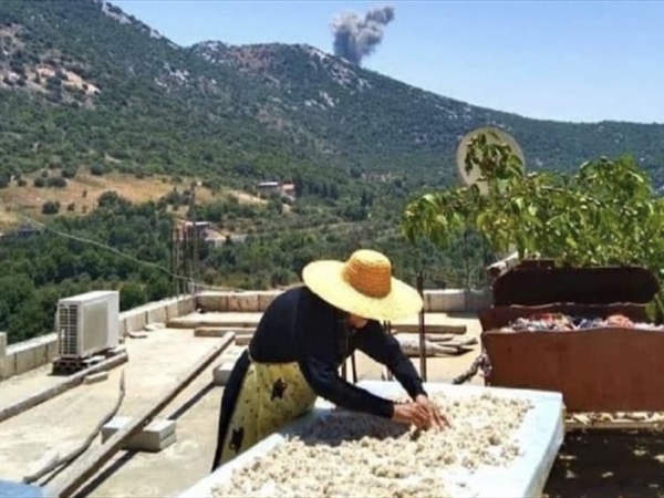 "منجفّف اللبن لنرفع الوطن”… "جمهورية الكشك اللبنانية