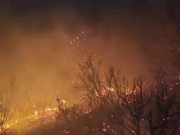 حرائق هائلة اندلعت في عدة مناطق والتهمت آلاف أشجار السنديان والصنوبر