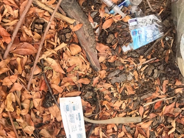 جبانة صيدا القديمة تتحوَّل إلى بؤرة للمخدرات: من يحمي المدينة؟