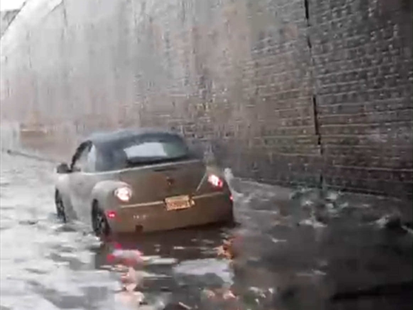 بلد.. أو حوض سمك؟