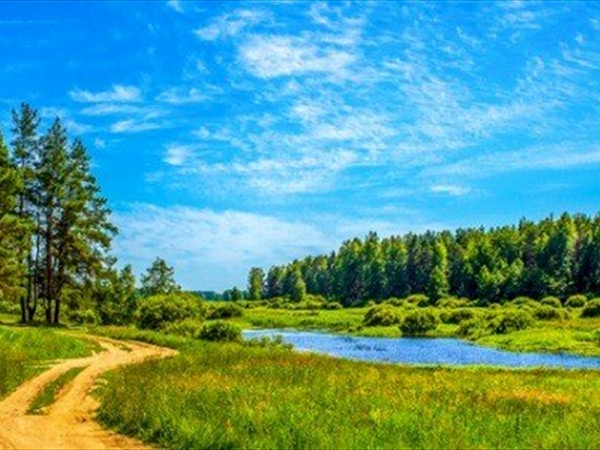 ثنائية الطبيعة