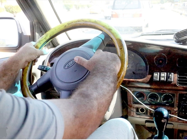 ثقافة الأبواق والزمامير!