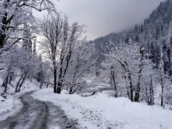 علقوا وسط الثلوج!