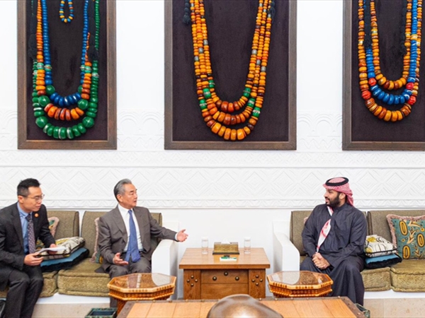 ولي العهد السعودي استقبل وزير خارجية الصين