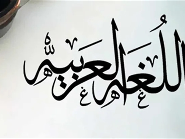 صاعقة وعي للُّغة العربية
