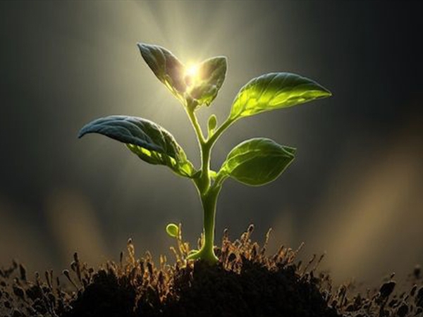 العصر وشهامة الأخلاق!