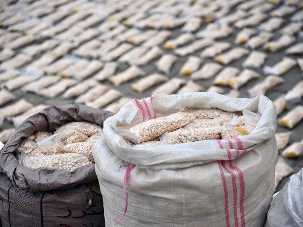 ضبط 14 ألف حبّة كابتاغون