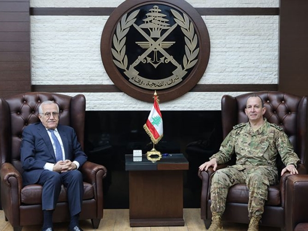 الرئيس سليمان زار هيكل  وأثنى على خطوات الجيش الميدانية