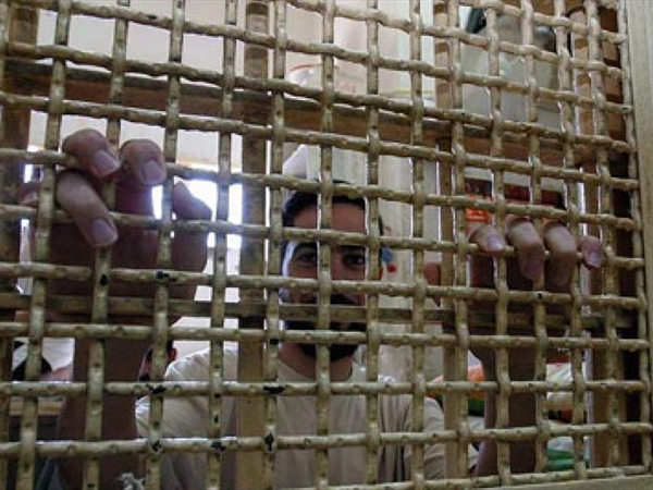 «الفطنة اللبنانية»