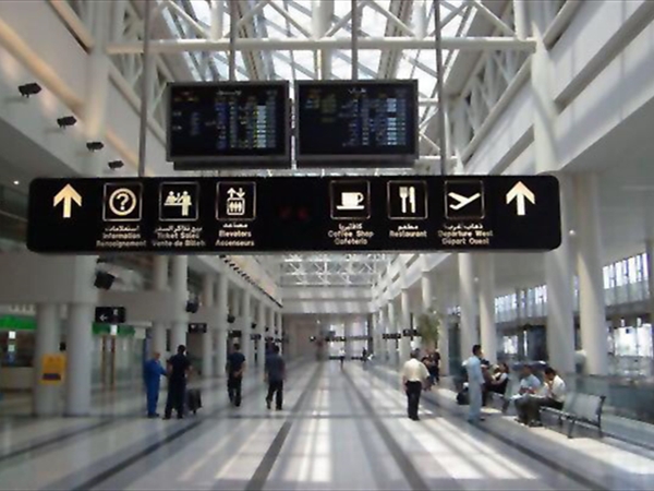 سفر ميمون 21-1-2026