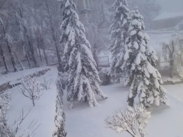 الأبيض يزيِّن جبال لبنان وسواحله: مواسم خير واعدة