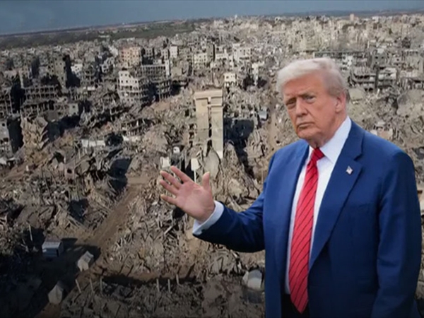 عن الأرض الضائعة