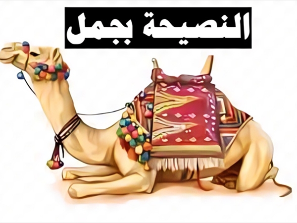 النصيحة بجمل!