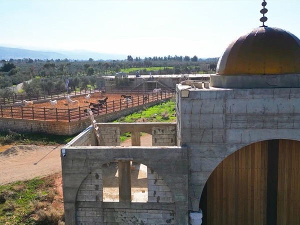 بين دولة القانون ودولة النفوذ: أين يُقتل الاقتصاد؟